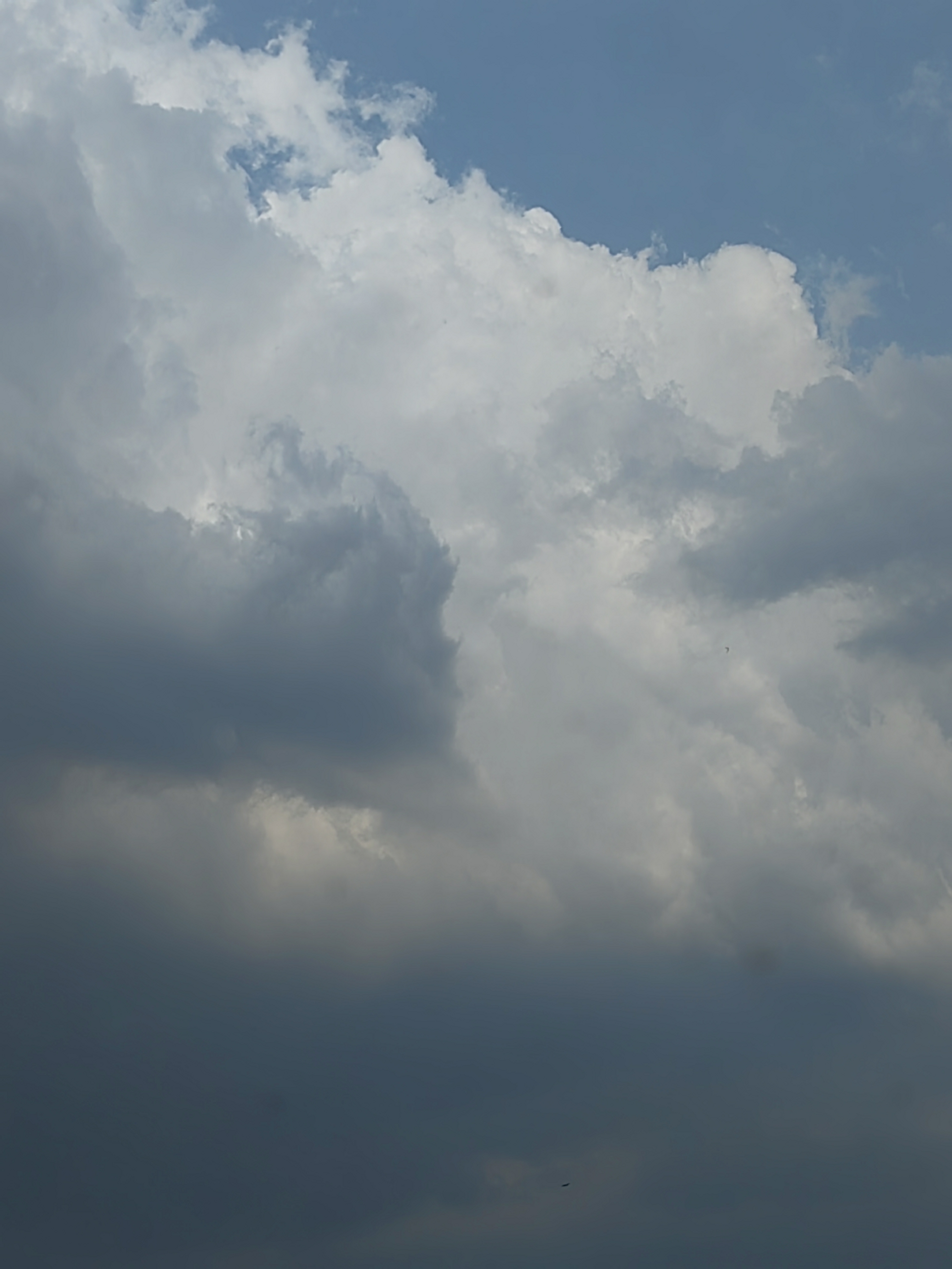 下午5点多宝鸡室外大风起天空出彩虹,约半多小时后,风停彩虹消失