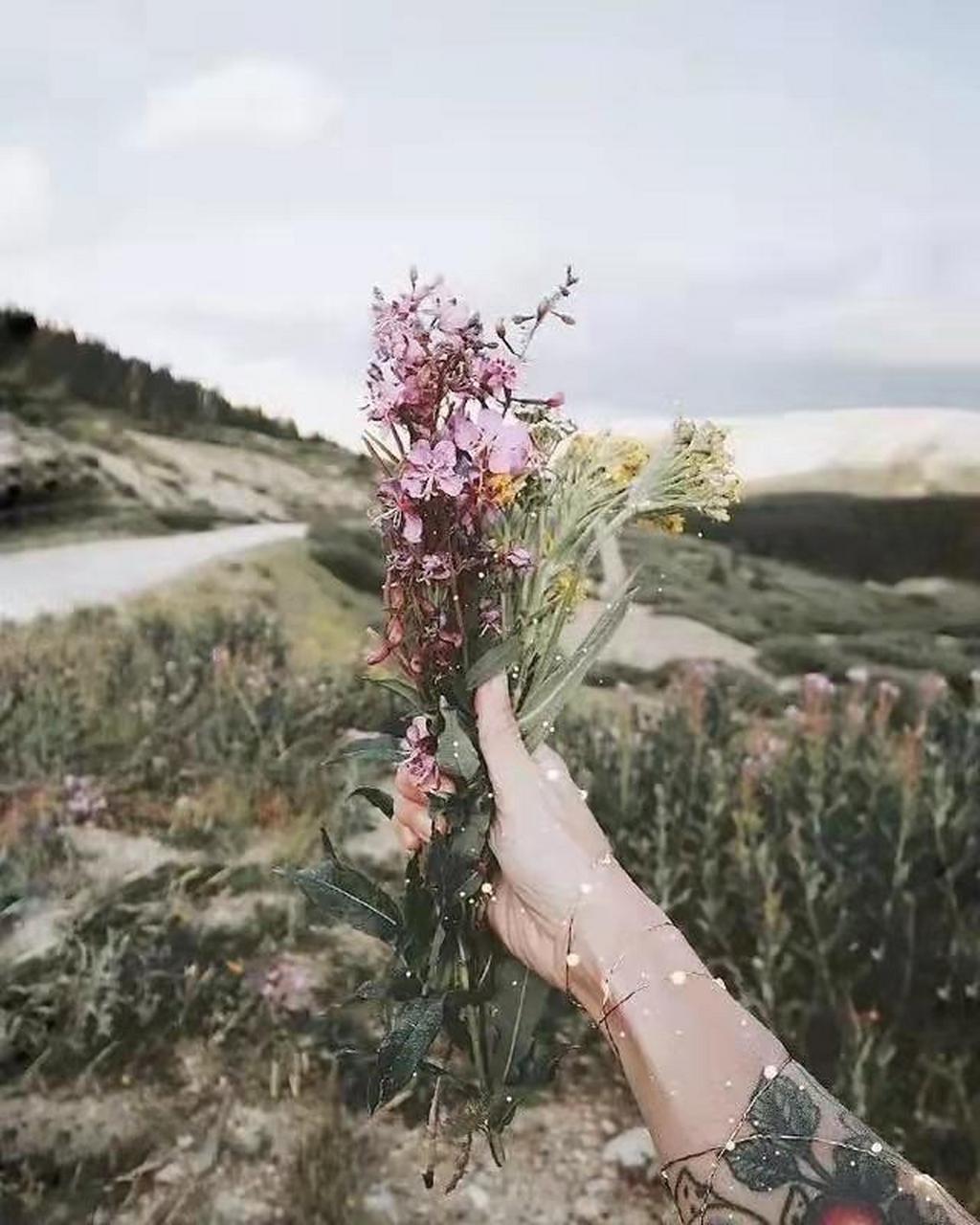 come and go, live up to life, and dont lose your way.