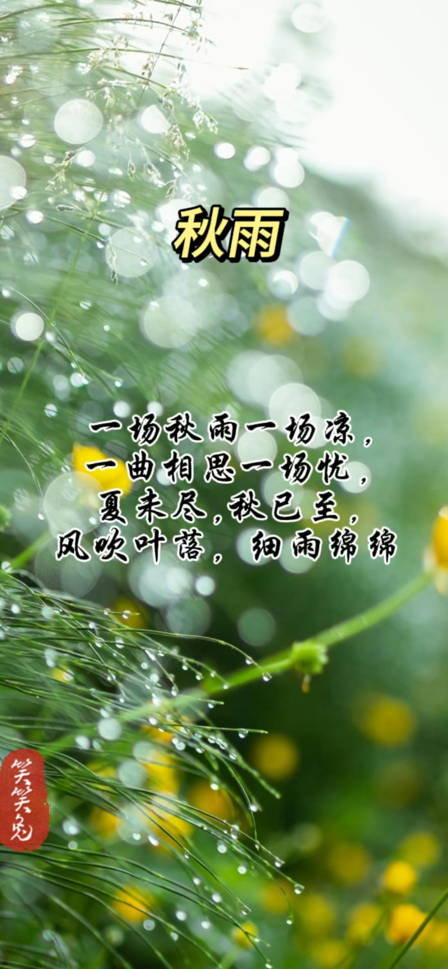 一场秋雨一场凉,一曲相思一场忧,夏未尽,秋已至,风吹叶落, 细雨绵绵
