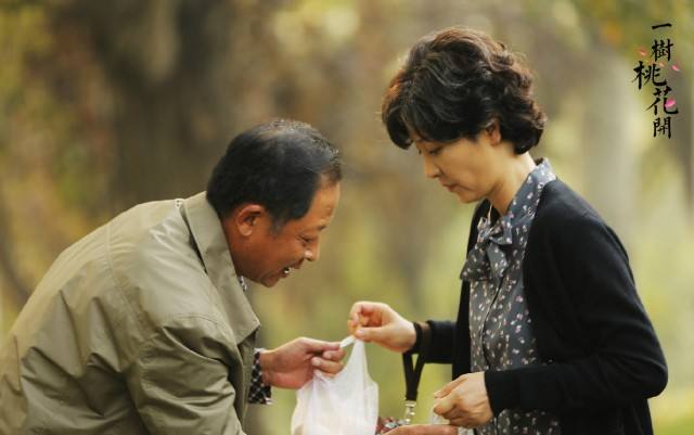 一树桃花开剧情介绍-一树桃花开剧情介绍演员表  第2张