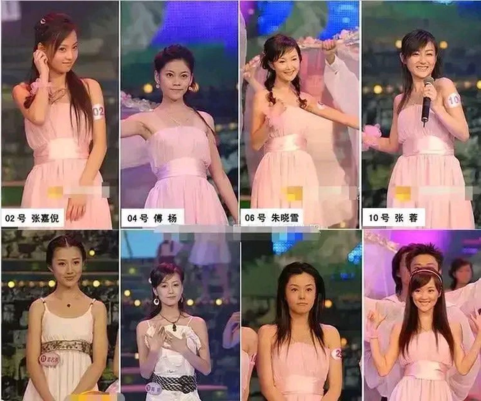 2006年,张嘉倪在《寻找紫菱》综艺选秀节目中,在30个女生中脱颖而出