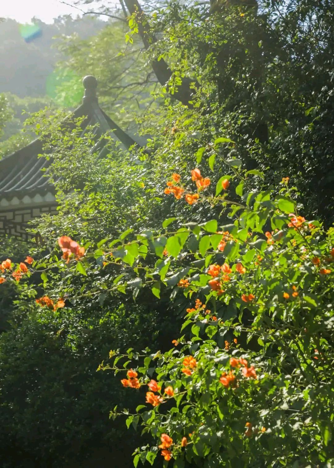 假日围岭公园爬山记