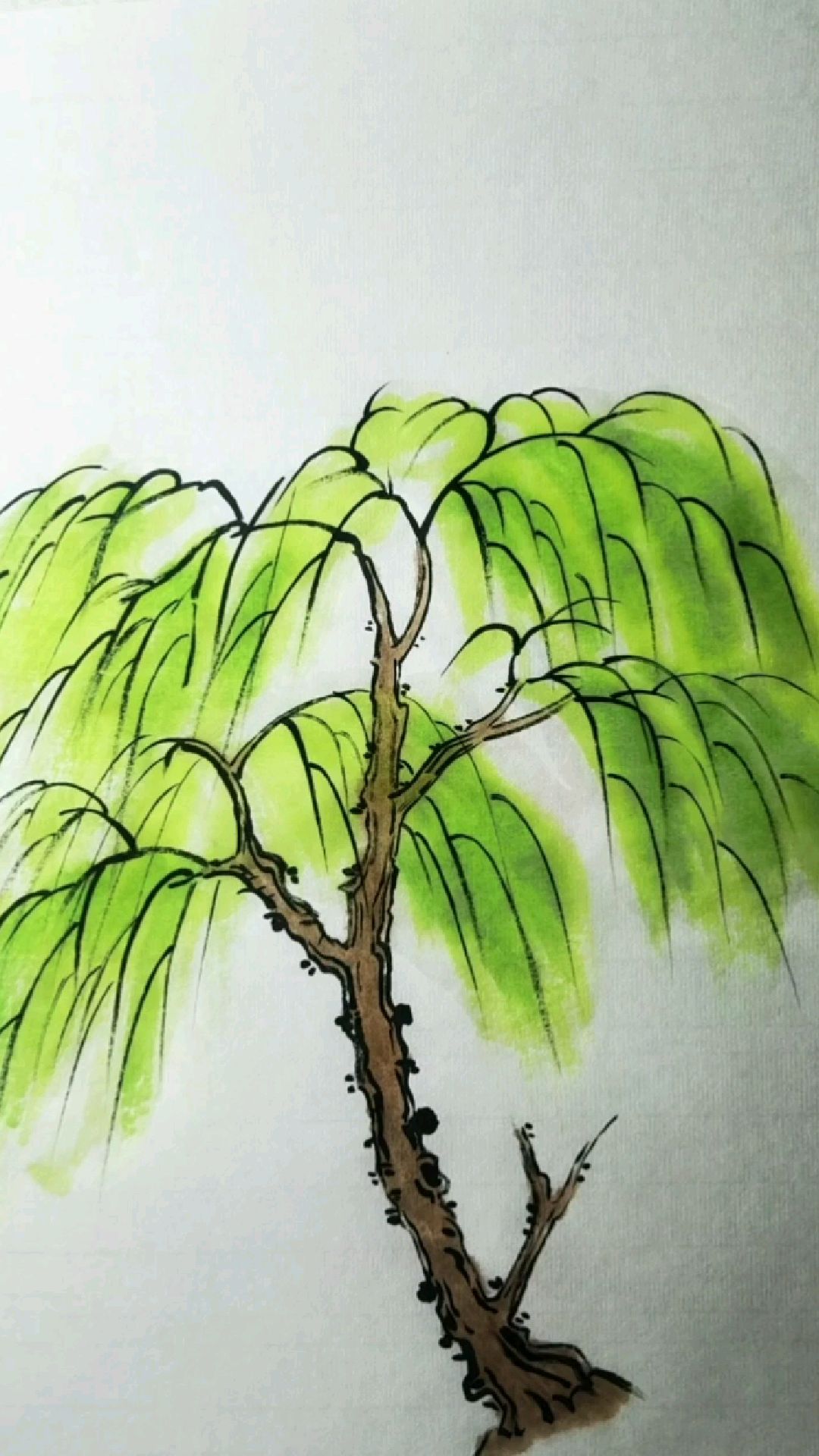 国画,柳树不同形态的画法