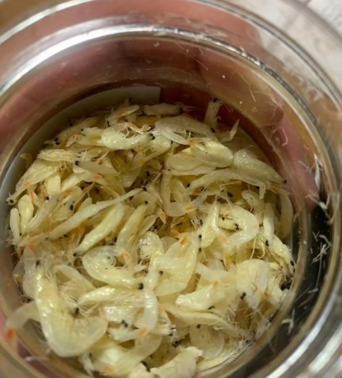 给孩子买点虾皮补钙,结果看到一个皮皮虾幼崽,好可爱