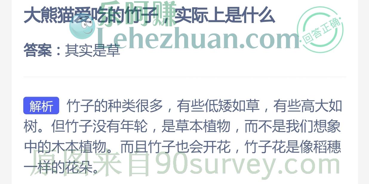 大熊猫爱吃的竹子实际上是什么？答案：其实是草