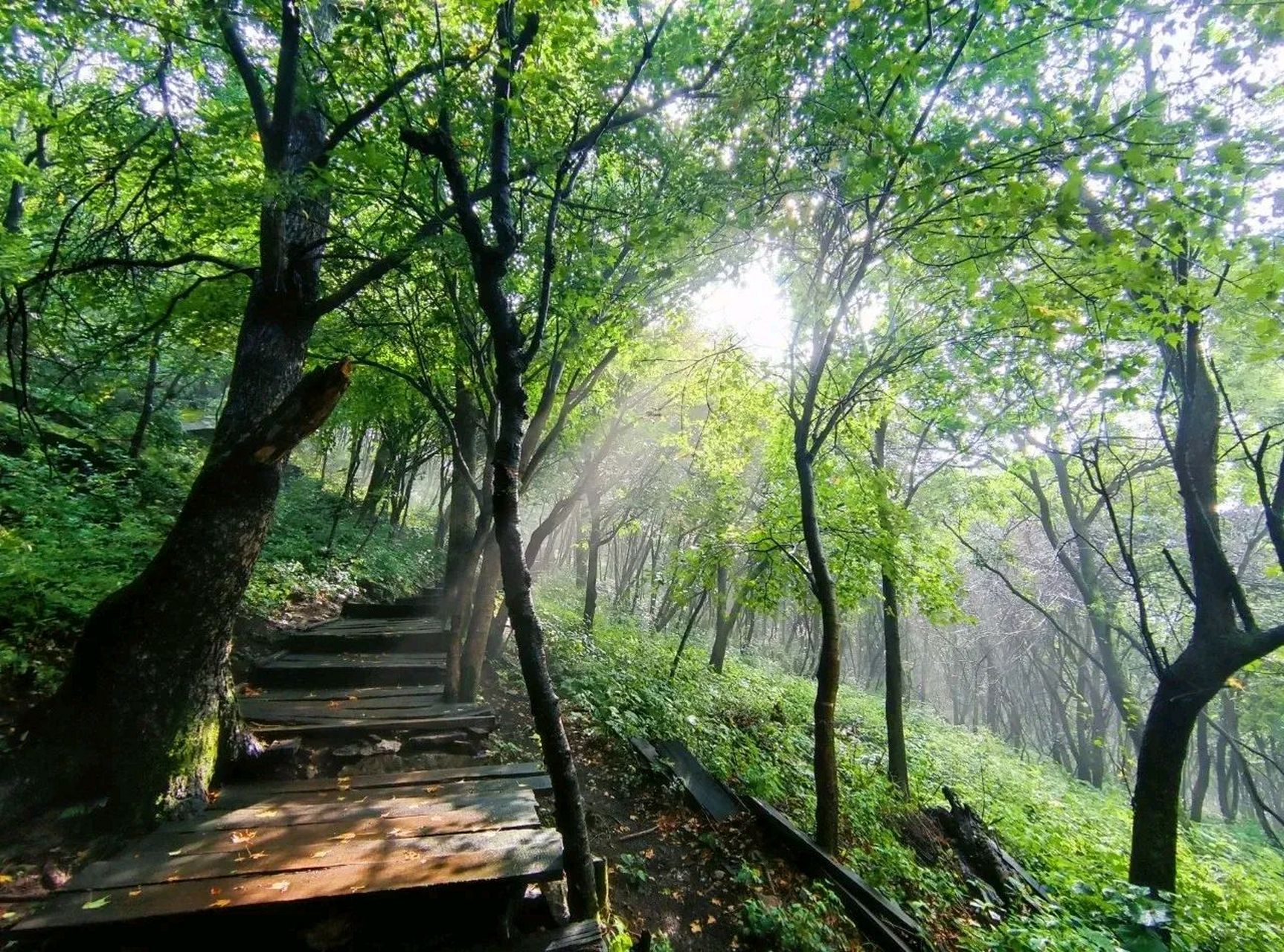 洛阳木札岭旅游区一轮免门票福利 2023年5月19日是第13个"中国旅游日"