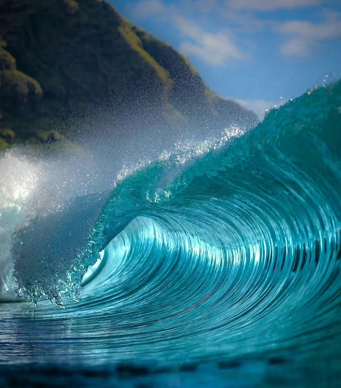 " 海:看我新烫的大波浪,美不美?蓝色才适合大海啊.