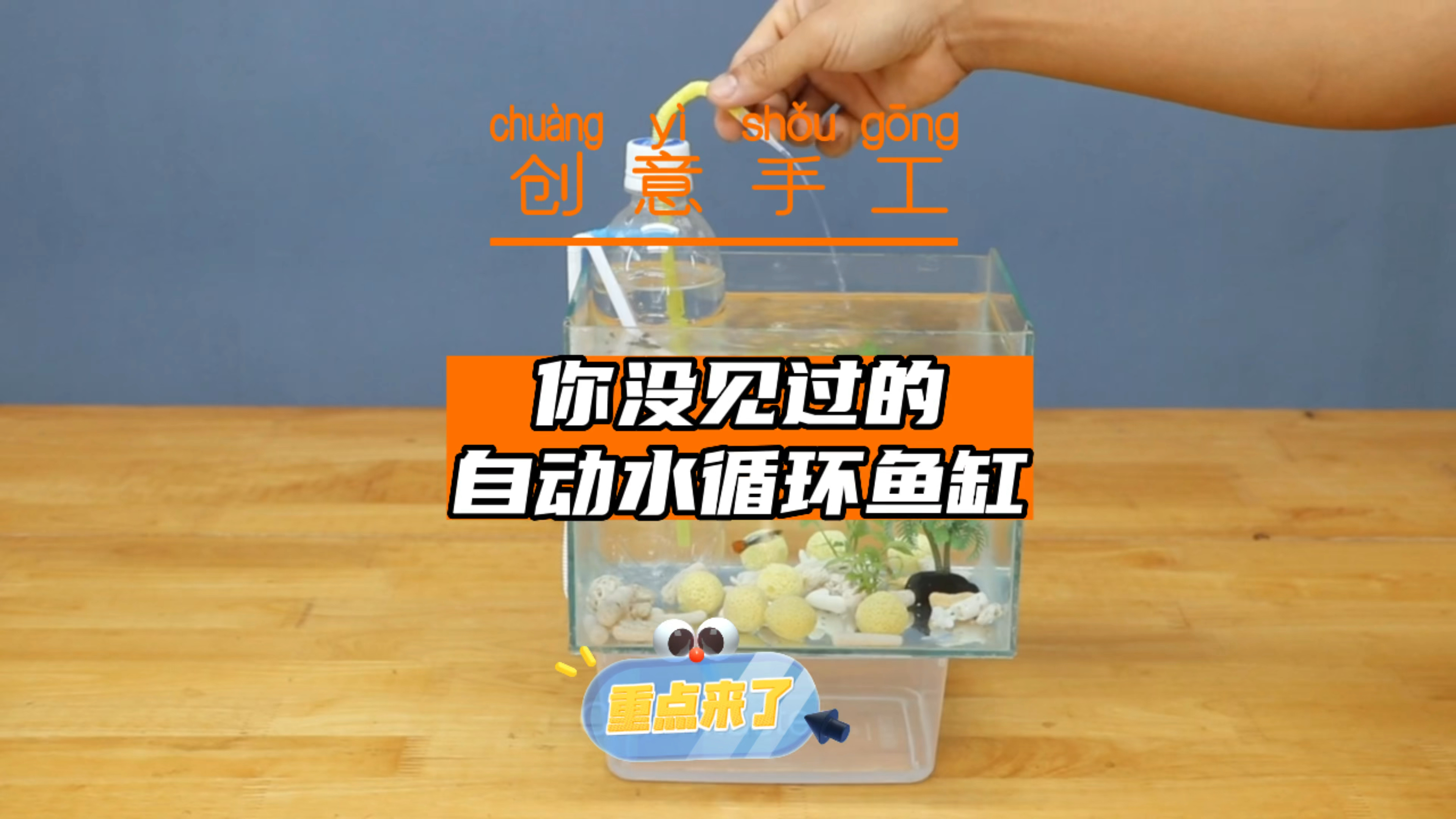 这是一个通过塑料瓶和保鲜盒就制作成的不用电全自动水循环鱼缸