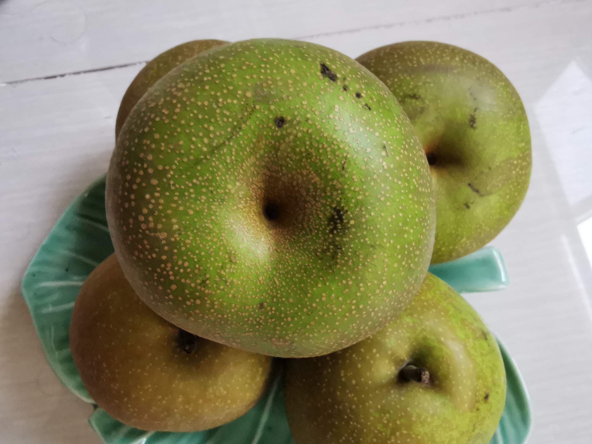 崇明翠冠梨值得品尝