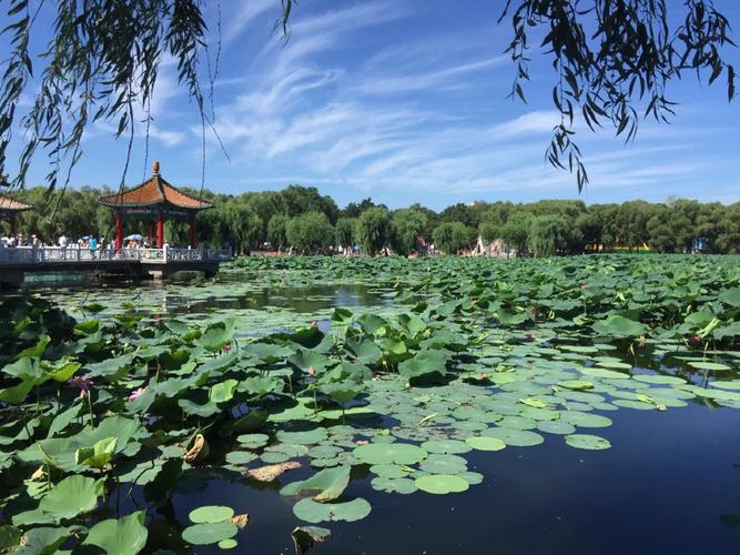 游长春南湖公园