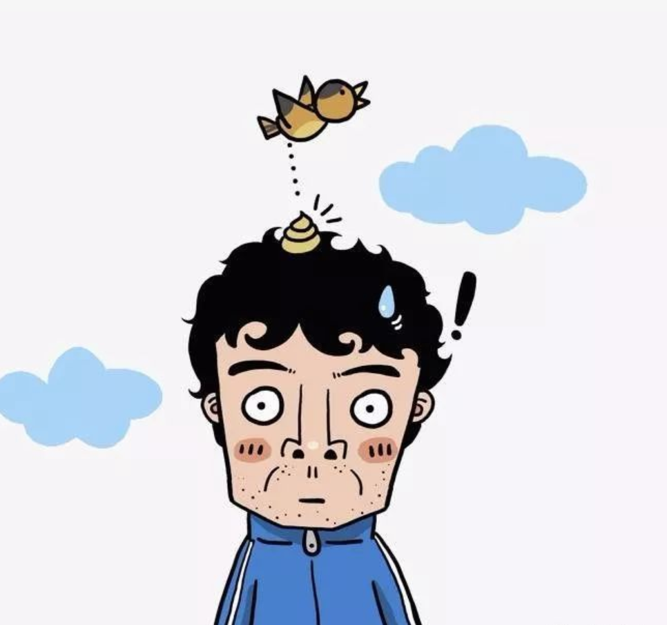 鸟屎掉头上是要戴孝吗?