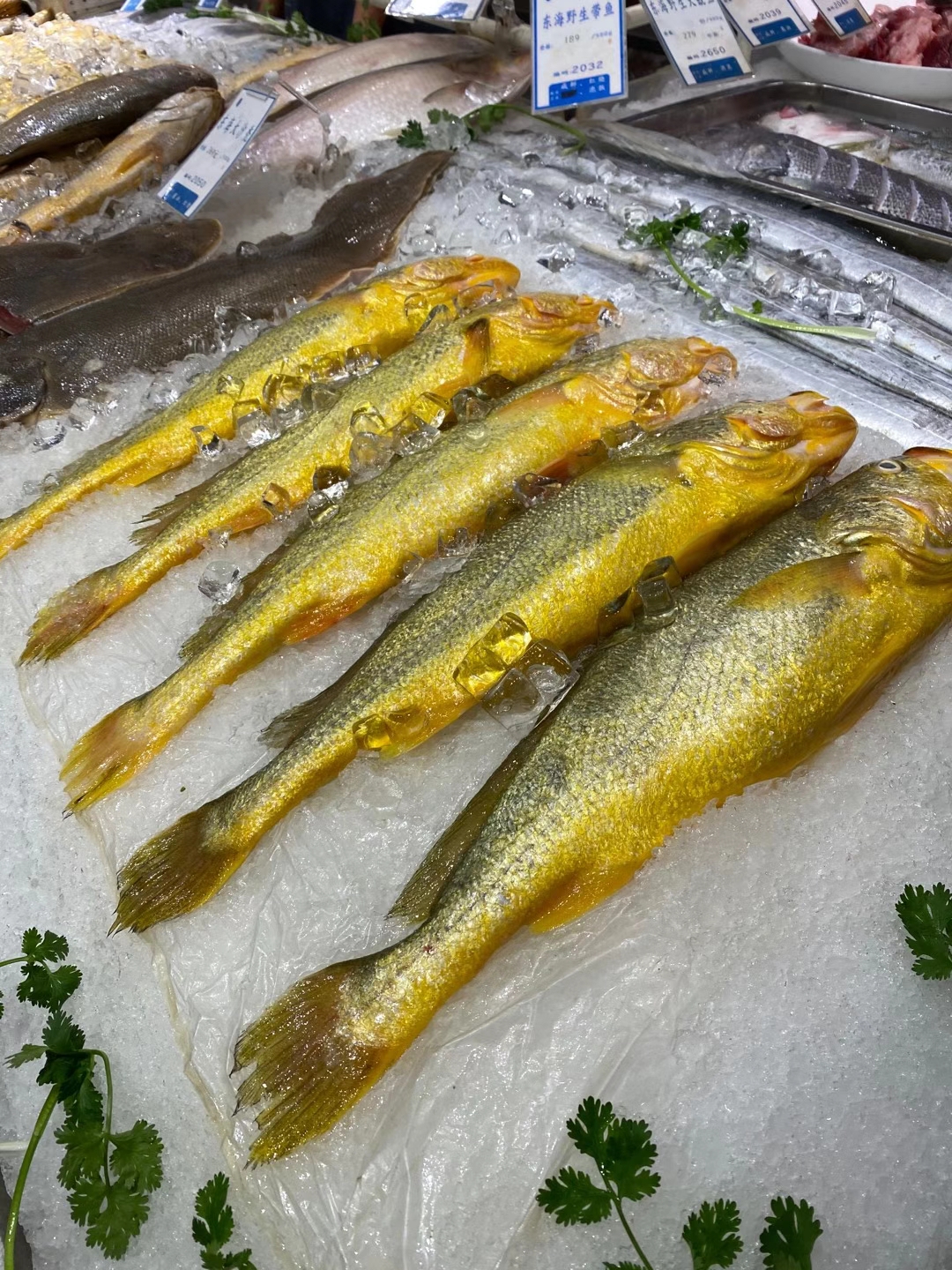 脸盘大的千岛湖淳鱼头,味香肉滑!点菜的时候仿佛就在汕头