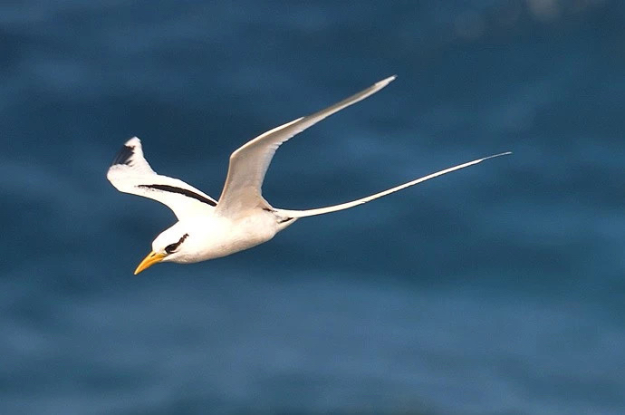 哑叔的养老院生活,记录一个86岁的聋哑老人在养老院的真实生活