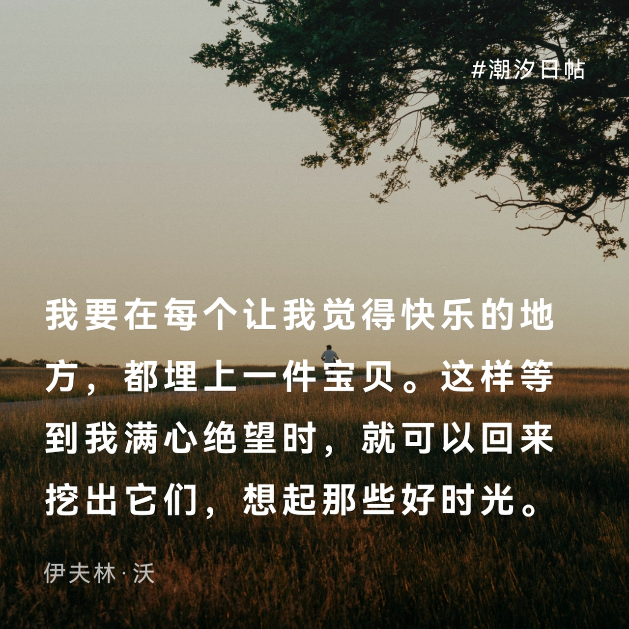 伊夫林61沃(evelyn waugh,1903—1966),英国著名作家,被誉为英国二