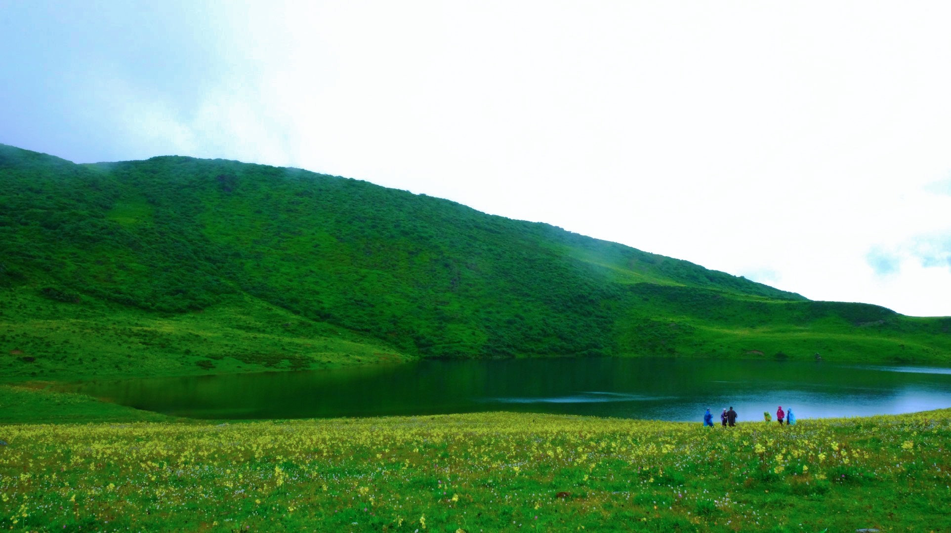 九顶山花海:这座生态接近70%的高山草甸才是夏天正确的打开方式