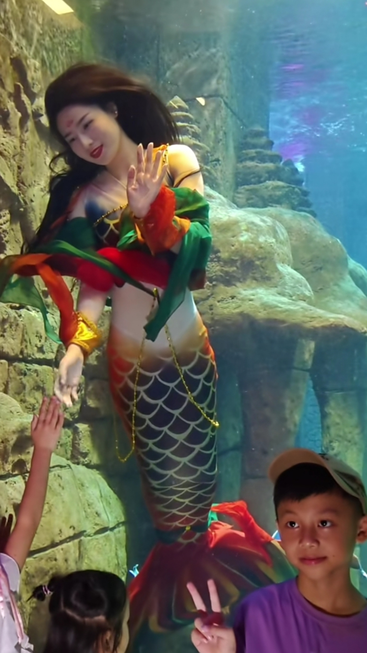 这样的美人鱼看的赏心悦目,百看不厌!好治愈!