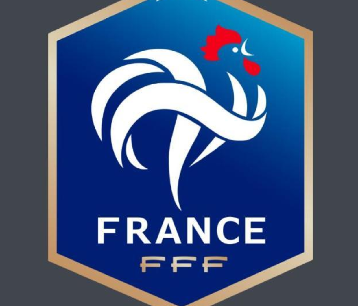 法国为什么叫高卢雄鸡 法国队高卢雄鸡是什么意思称号寓意由来出处