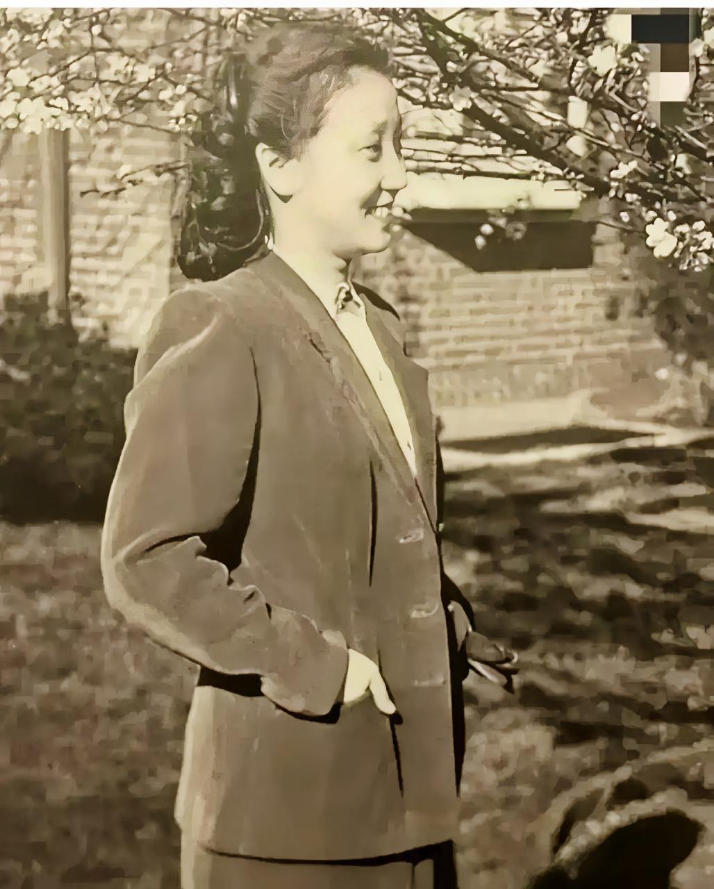 蒋英年轻时候的照片图片