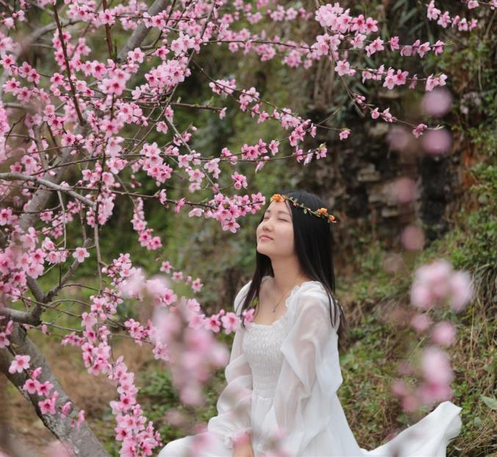 梧桐叶上露珠滴, 鸟语声中思绪缠.  人生若只如初见, 何事惹尘埃扬?