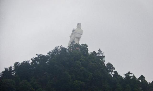 南山大金鹰图片