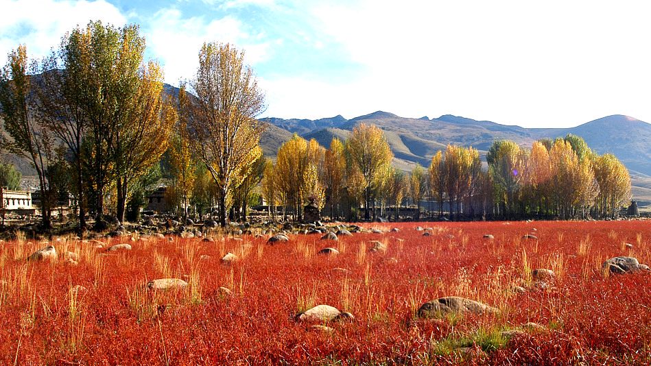 頻湖脉学之结脉