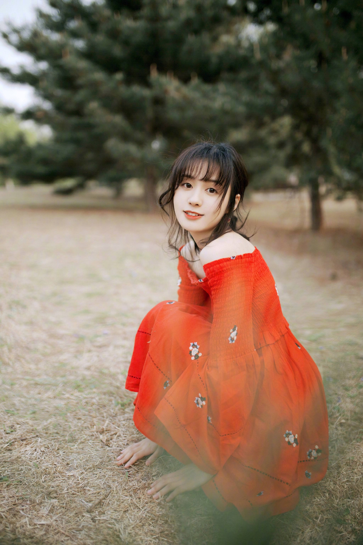 郑合惠子的美照