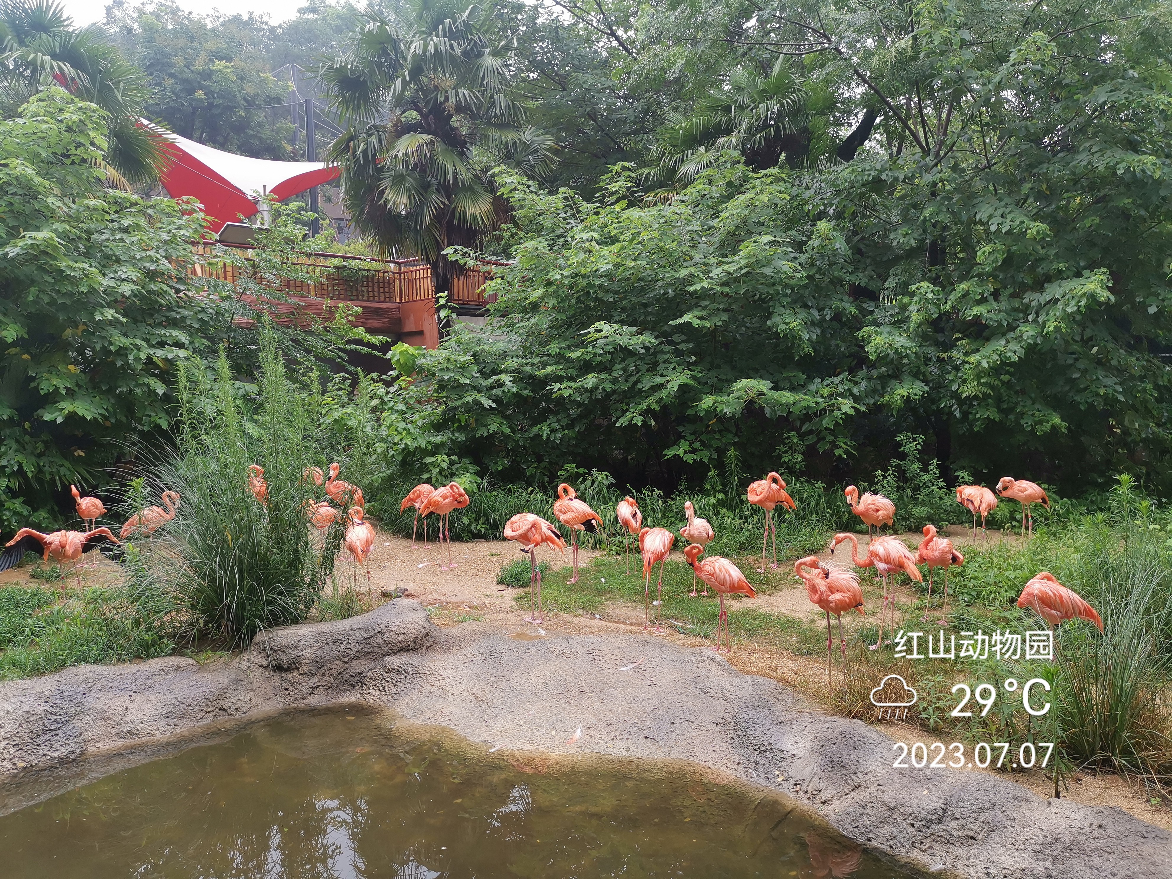 南京红山动物园