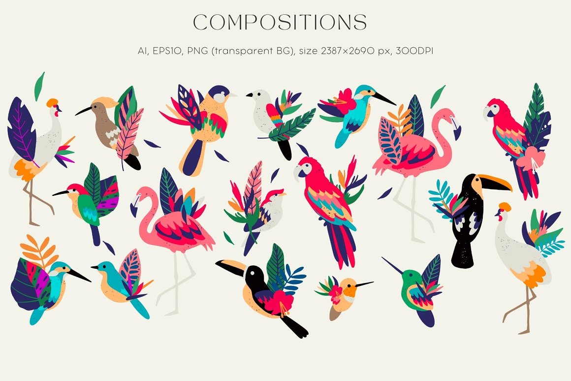 Exotic Birds Collection-6.jpg