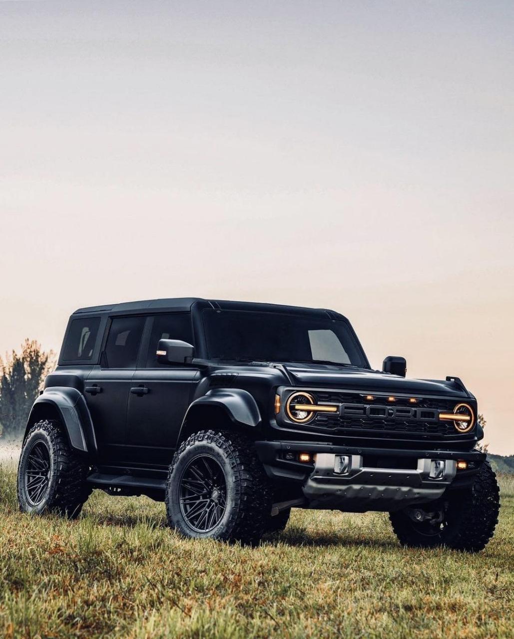 硬派越野车#福特烈马猛禽版