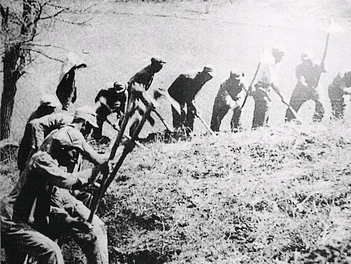 闲写打油诗,记录热火朝天的大生产场面