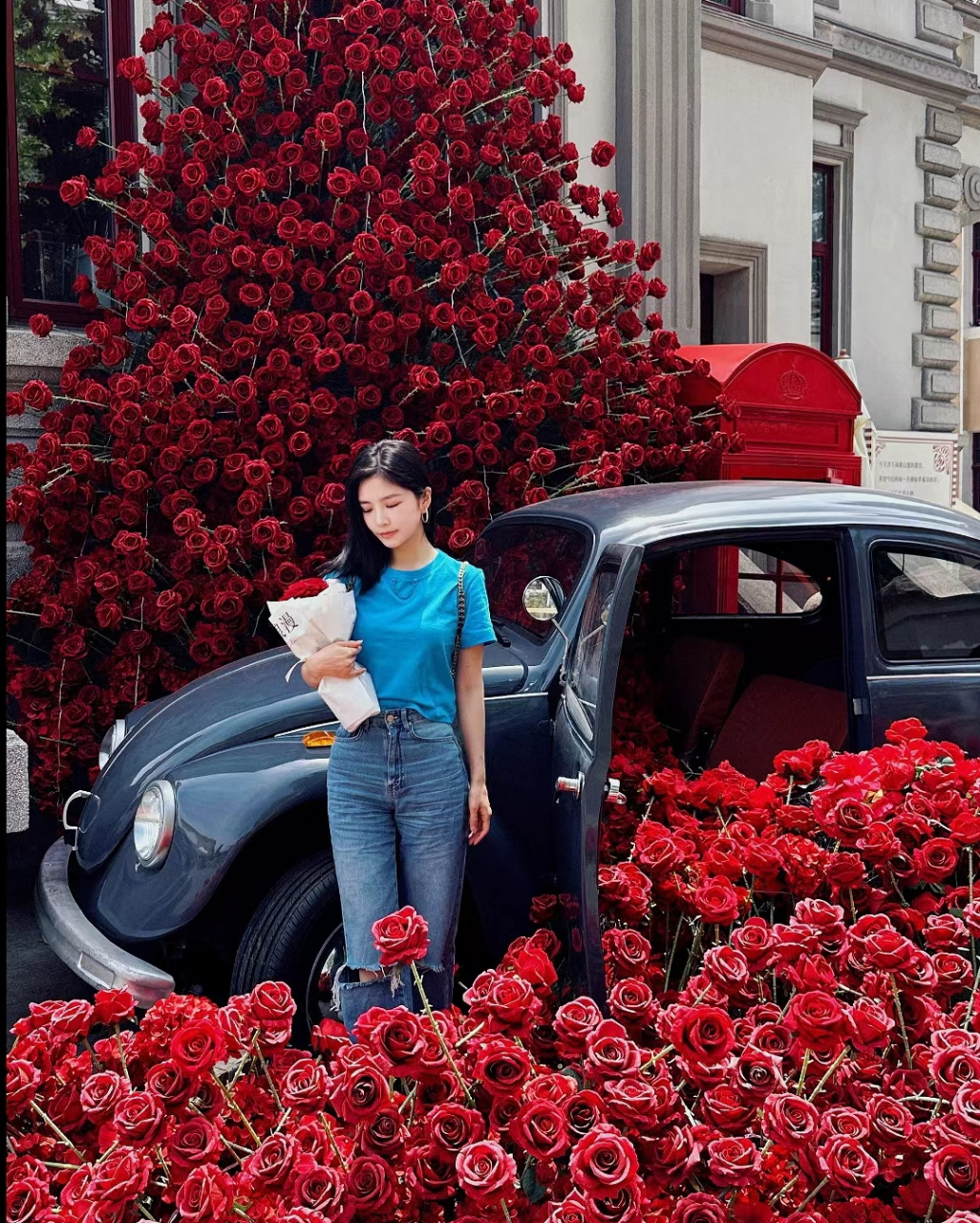 王灿打卡网红玫瑰树,怀里抱着杜淳送的花凹造型,画面挺浪漫的.