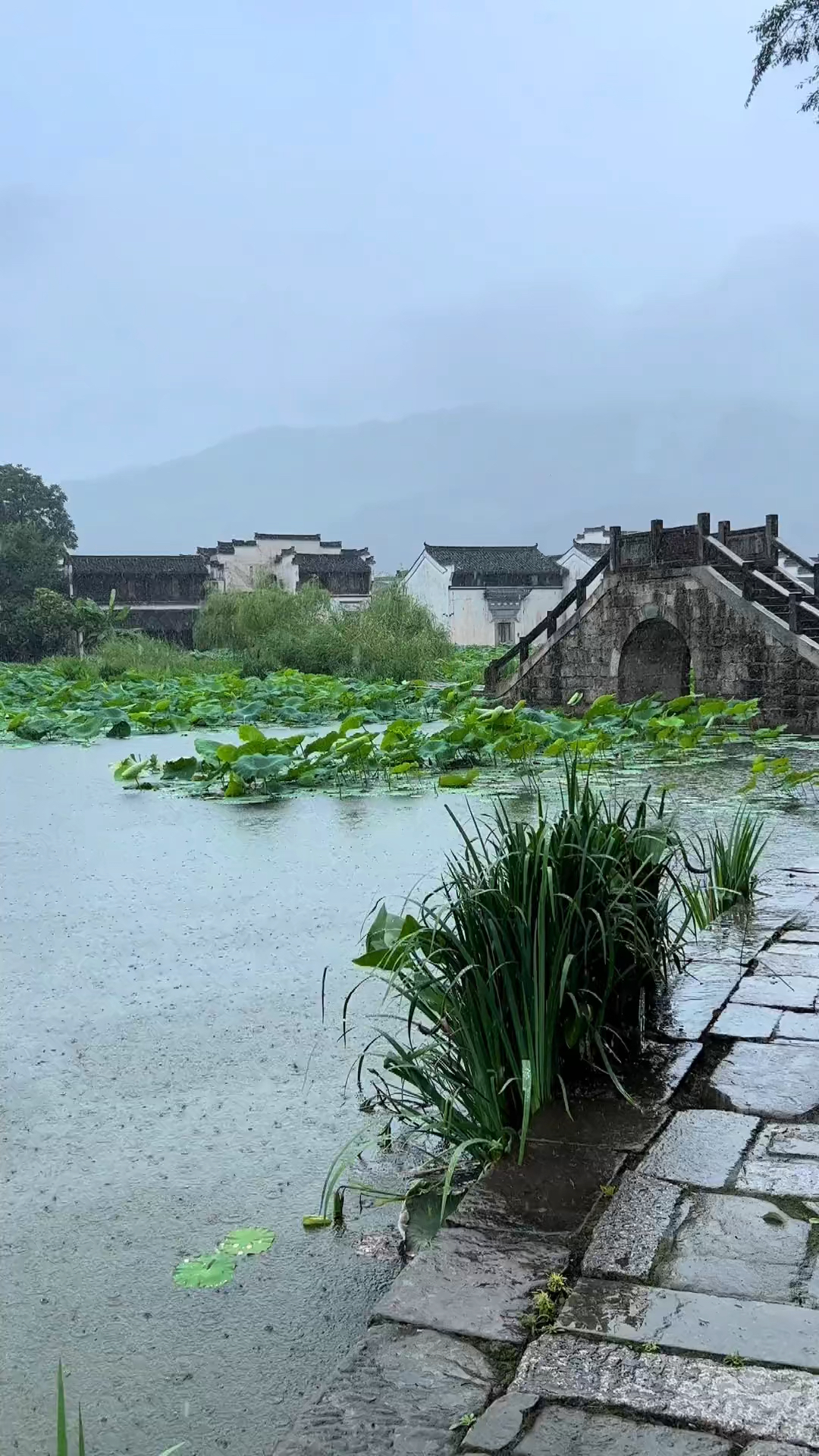 徽派的建筑真的很美,雨中美景尽收眼底#江南#徽州
