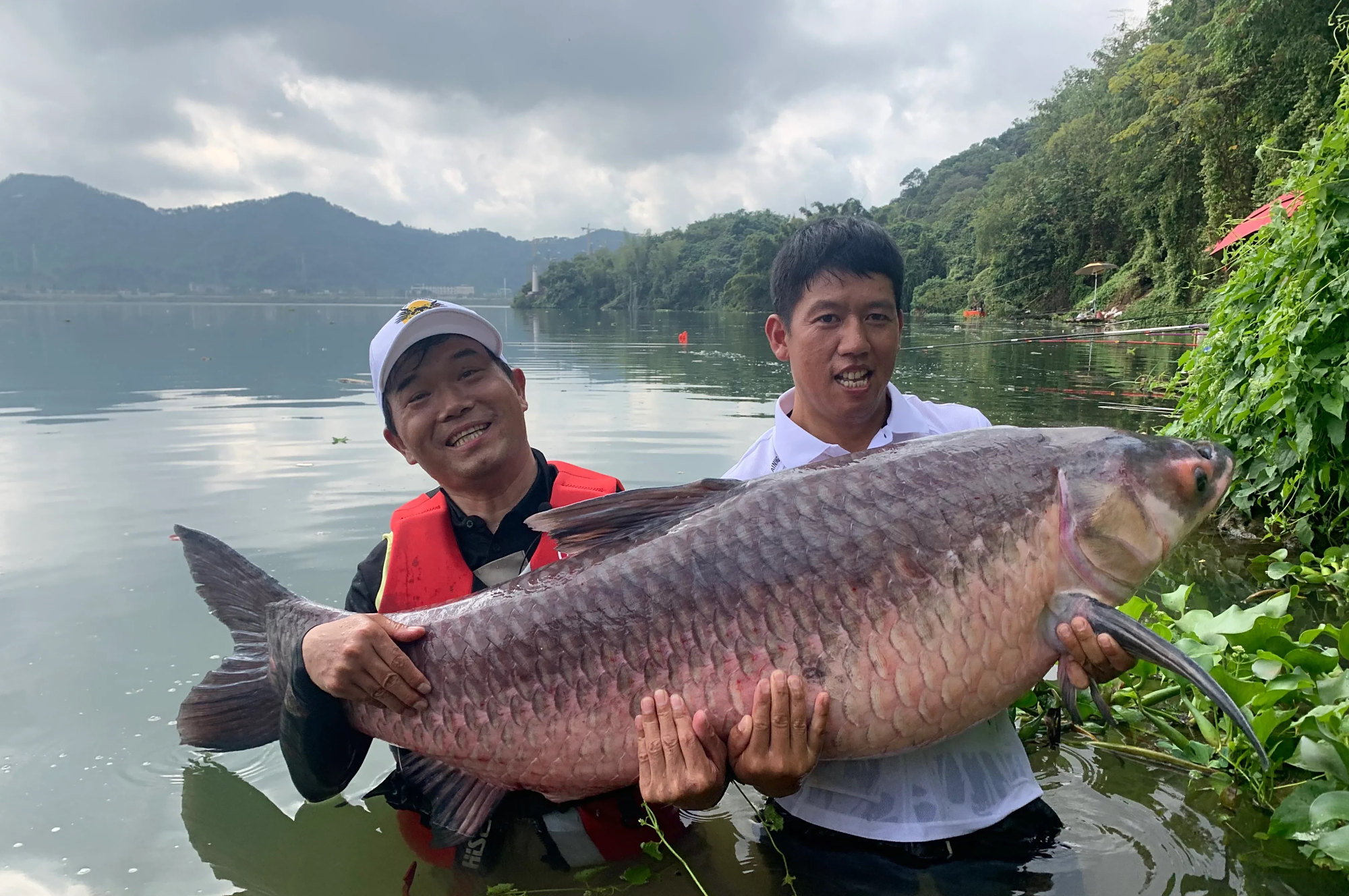 两条巨青的争论:钓鱼大师在东江三天守两鱼,究竟是做假还是实钓