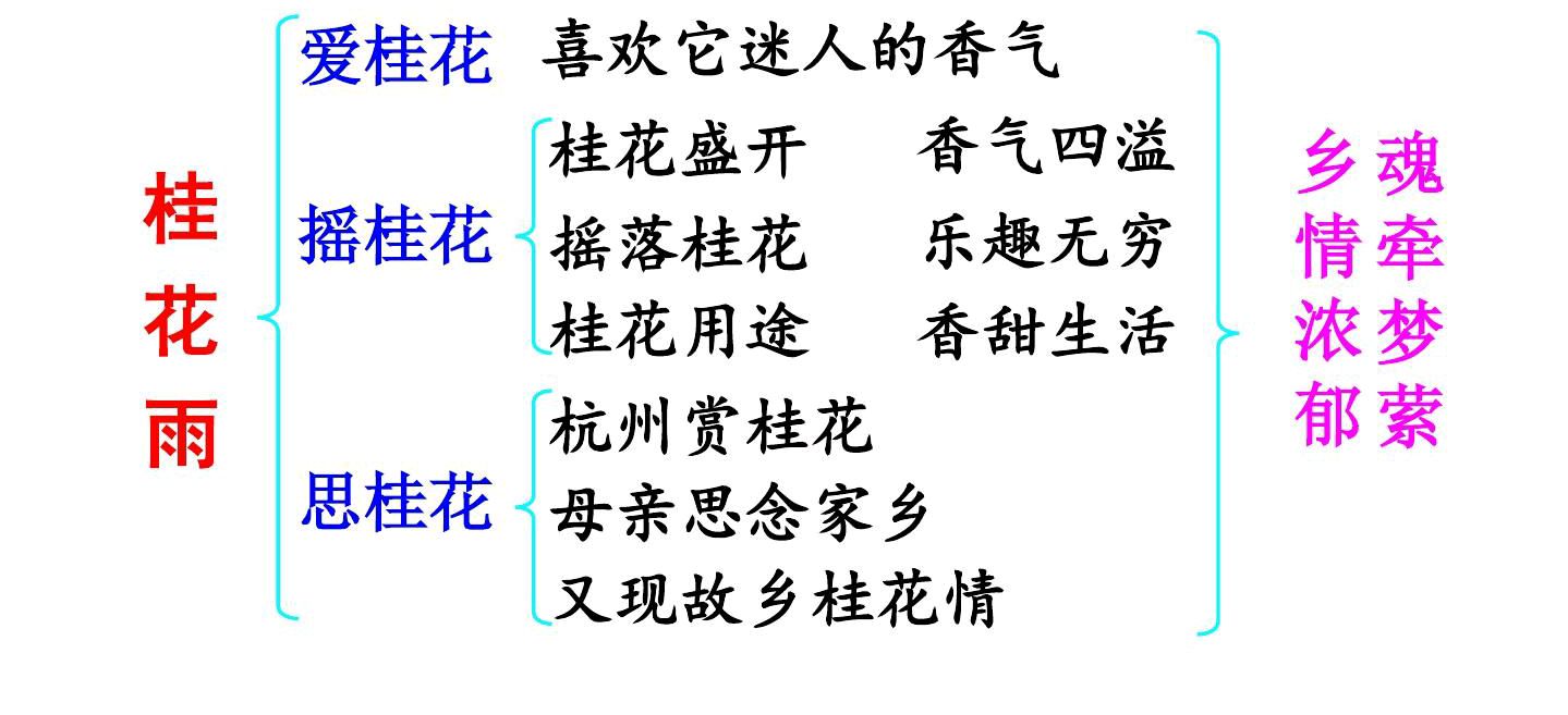 五年级语文上册《桂花雨》课文笔记,暑假预习的必备资料
