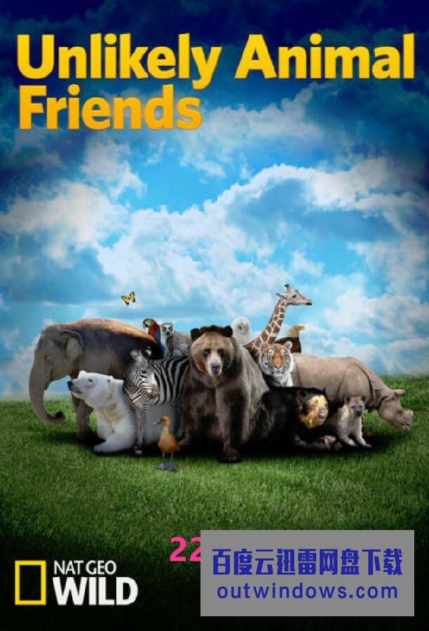 [电视剧][不可思议的好朋友 Unlikely Animal Friends 第一至三季][全03季][英语中字]1080p|4k高清