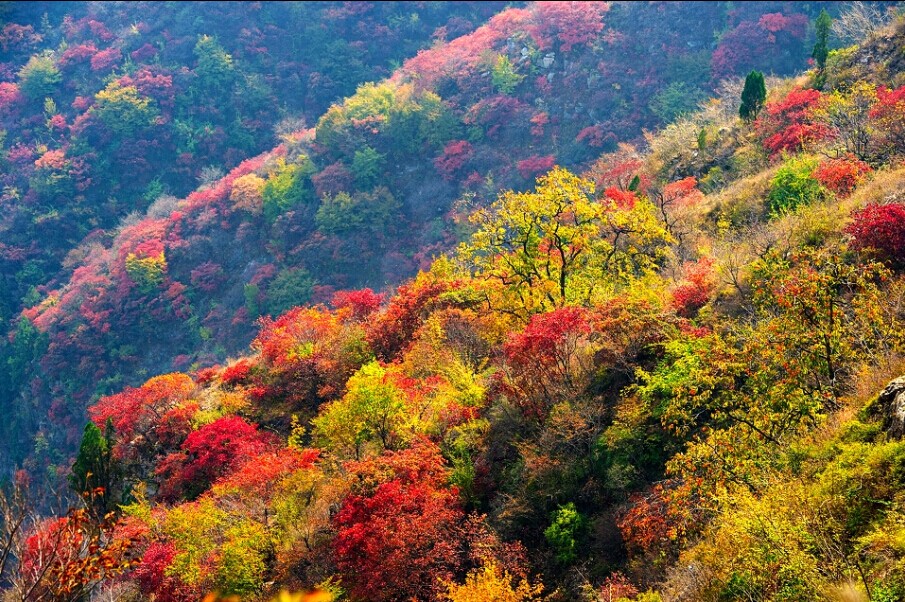 青州泰和山风景区图片