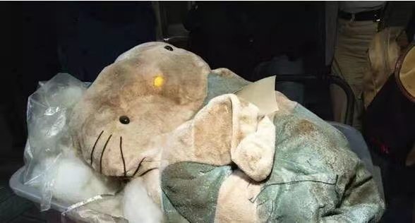 hello kitty藏尸案,最小帮凶13岁,法官:非人类对待人类所能做