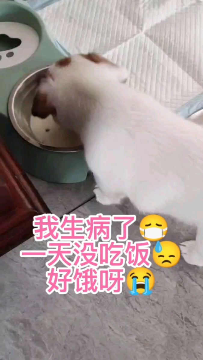 我生病啦,医生不让吃饭,好饿啊