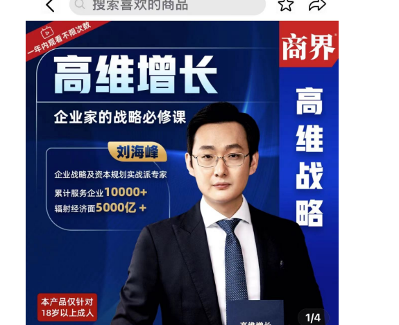 刘海峰高维增长:企业家的战略必修课「有课学」