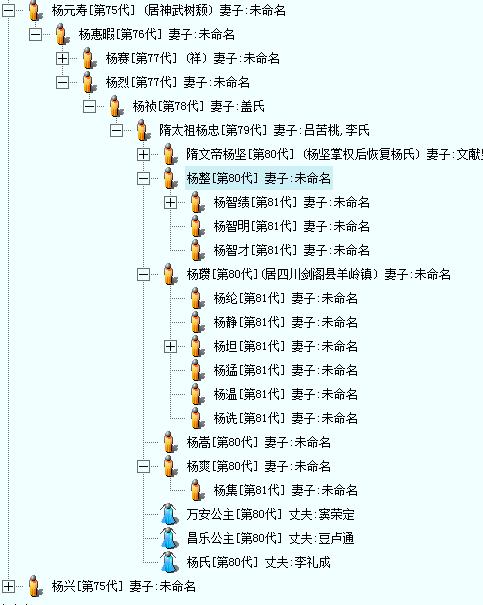 隋高祖文皇帝杨坚后裔世系