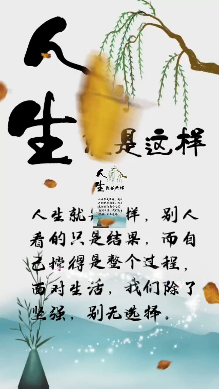 人生就是这样除了坚强别无选择