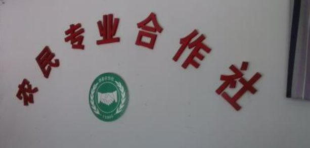 农民专业合作社属于什么企业类型