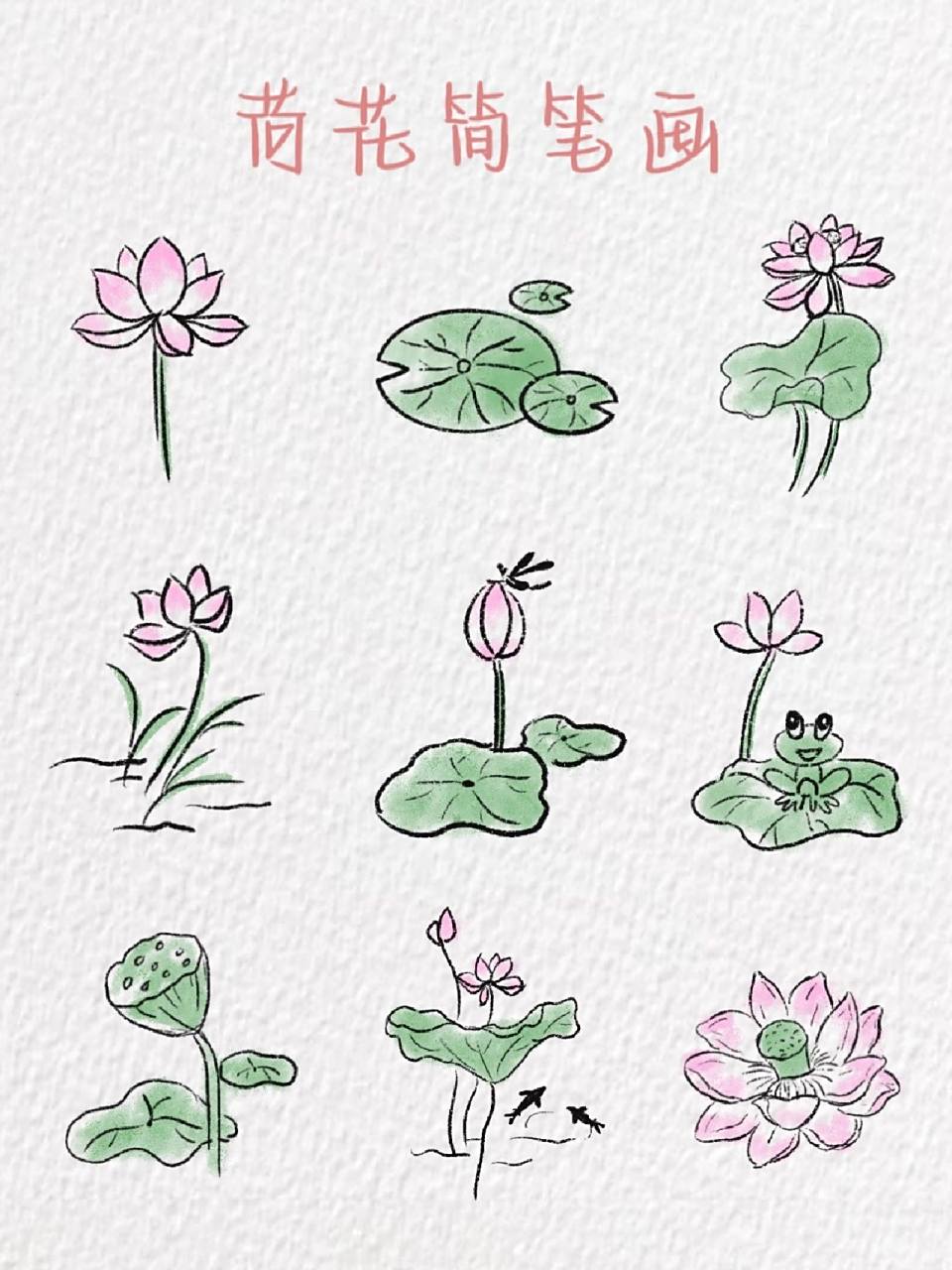 荷花简笔画～ "小荷才露尖尖角,早有蜻蜓立上头" 今日份荷花已送达 是