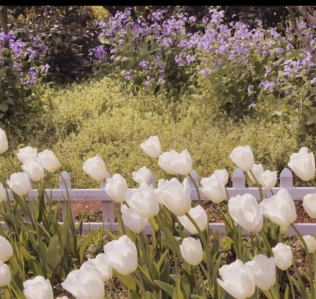 四月的文案优美句子适合发朋友圈图片