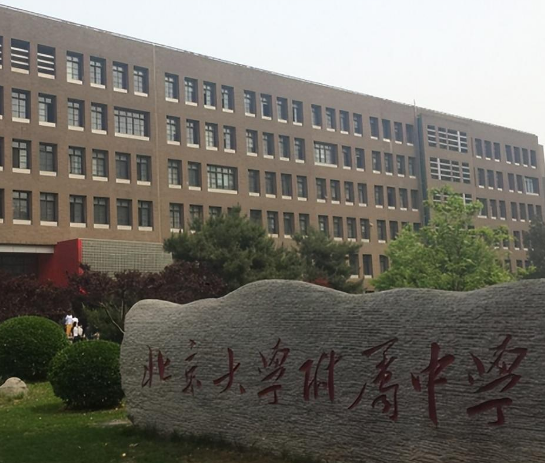 和那英不和,患病险离世,57岁无儿无女,田震现状令人震惊