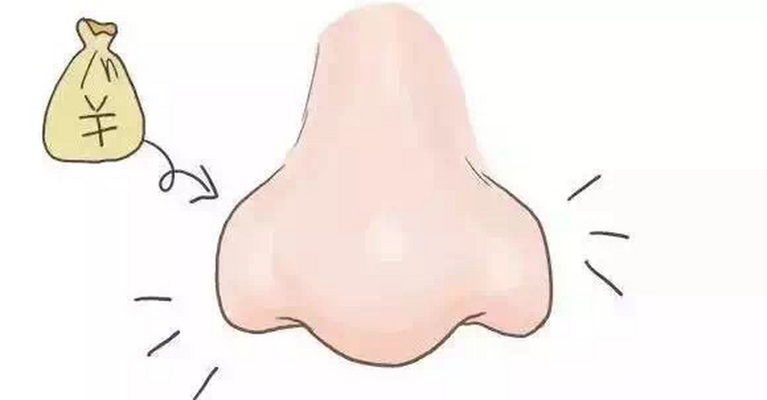 左边鼻翼叫兰台,右边鼻翼叫廷尉,这两个部位要饱满,横张,同时又能