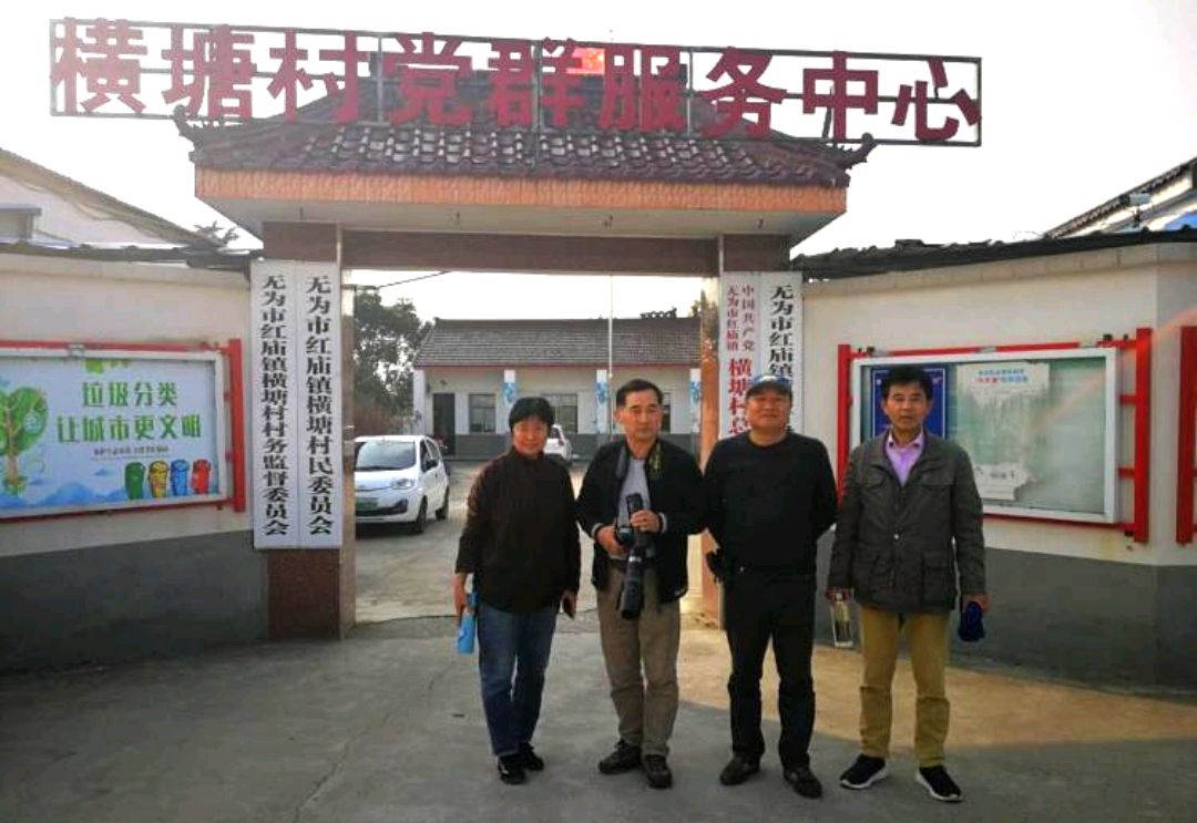 无为市红庙镇:摄影家走进金色横塘