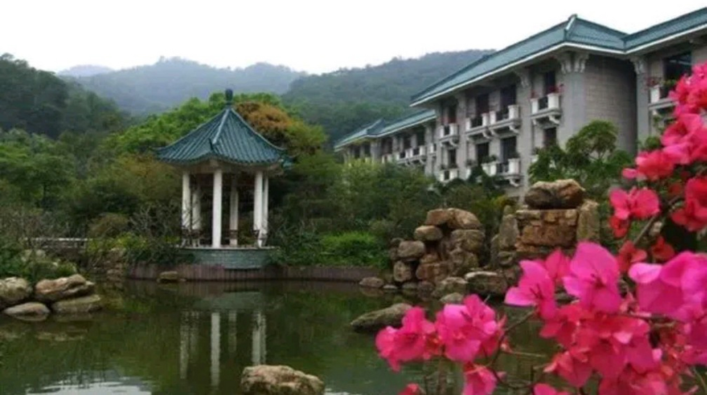 松园作为这次马克龙在广州的重要接待地点,对我这样一个在广州生活