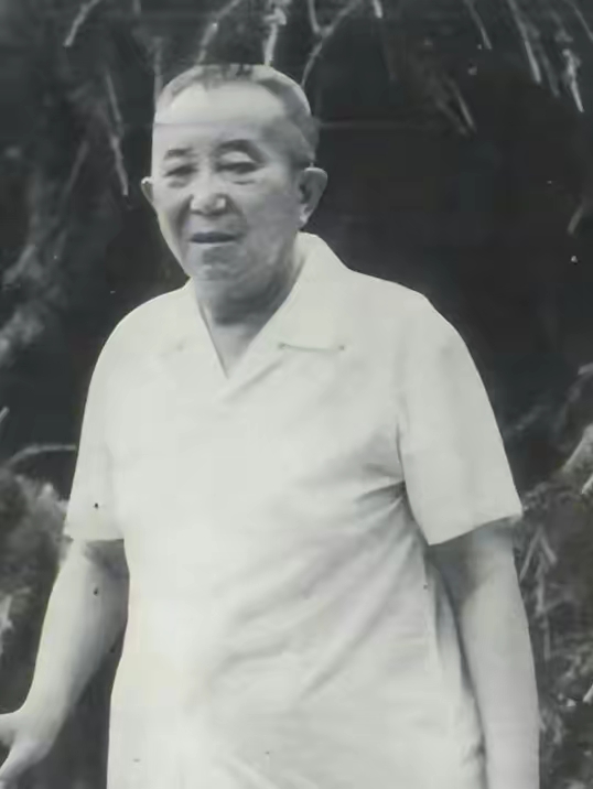 罗瑞卿怒问参谋长杨国宇:为何这么久才报告,杨:首长,这不怪我