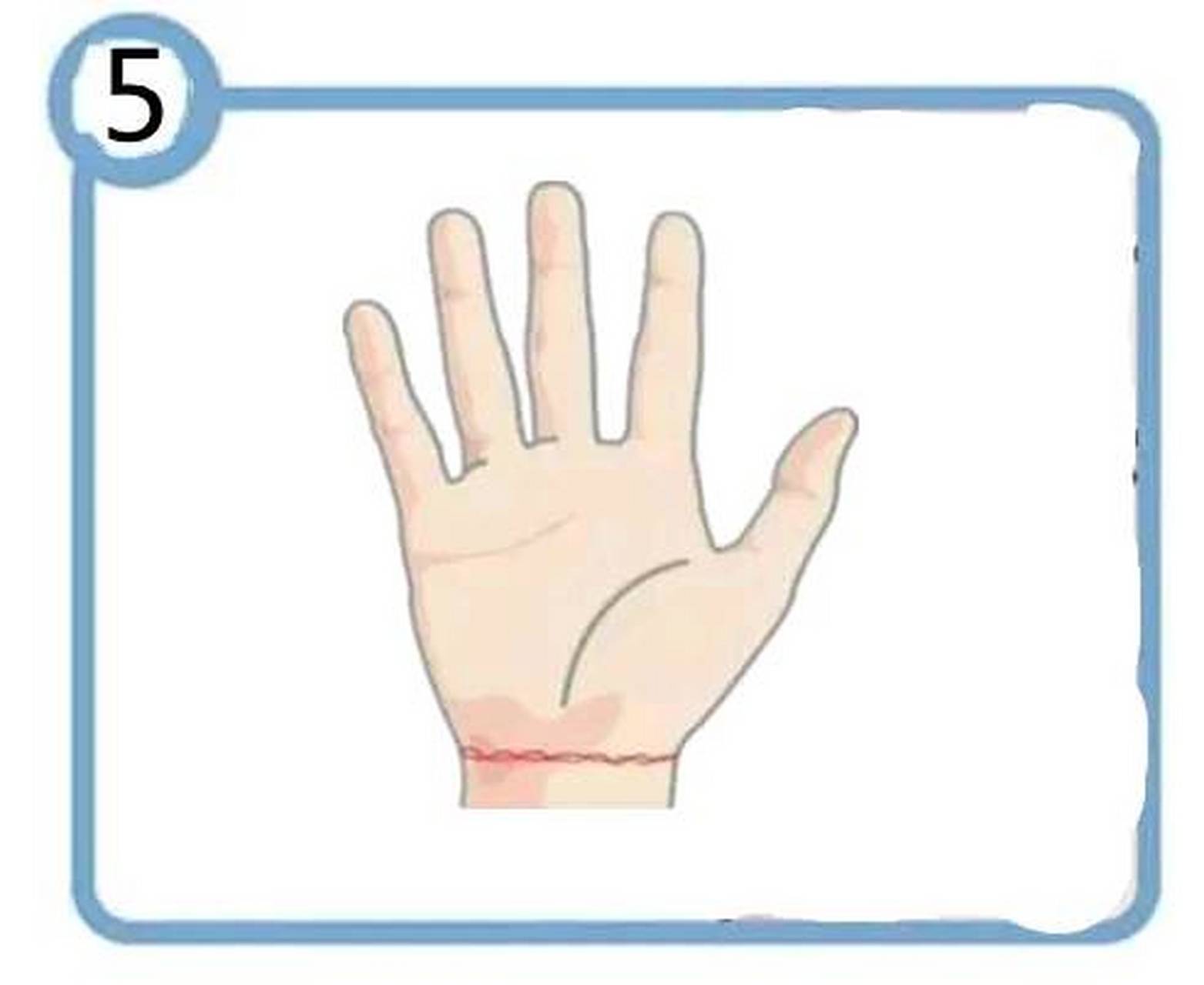 链状纹  在手腕线上,若是能够出现比较清晰地链状纹,只出现在第一条